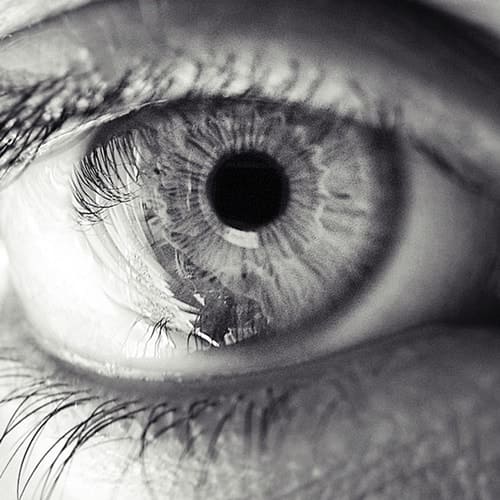 Глаза и зрение